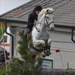 Sport - konjski sporti - evropski pokal, italijansko drzavno prvenstvo in trofej dezel v disciplini trek