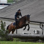 Sport - konjski sporti - evropski pokal, italijansko drzavno prvenstvo in trofej dezel v disciplini trek