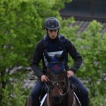 Sport - konjski sporti - evropski pokal, italijansko drzavno prvenstvo in trofej dezel v disciplini trek