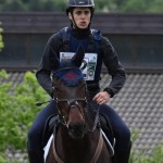 Sport - konjski sporti - evropski pokal, italijansko drzavno prvenstvo in trofej dezel v disciplini trek
