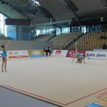 V Mariboru tudi Borove gimnastičarke