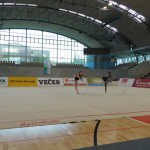 V Mariboru tudi Borove gimnastičarke