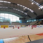 V Mariboru tudi Borove gimnastičarke
