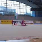 V Mariboru tudi Borove gimnastičarke