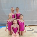 V Mariboru tudi Borove gimnastičarke