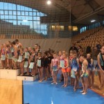 V Mariboru tudi Borove gimnastičarke