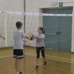 VolleyMania: kar 25 ekip v dolinski telovadnici