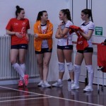25. krog; Briščiki; sobota, 27.4.2019 (20.30)Zalet Telesorveg
