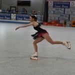 Sport - UMETNOSTNO KOTALKANJE - POKAL SEDMAK-BRESSAN - organizator SD Polet