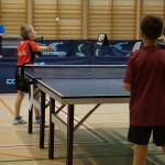 Deželna faza: odlični rezultati Krasovih predstavnikov