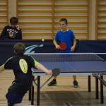 Deželna faza: odlični rezultati Krasovih predstavnikov