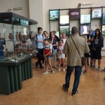 šah Državno ekipno prvenstvo