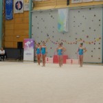 Murska Sobota: borovkam državni naslov