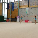 Murska Sobota: borovkam državni naslov