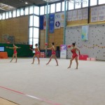 Murska Sobota: borovkam državni naslov