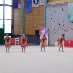 Murska Sobota: borovkam državni naslov