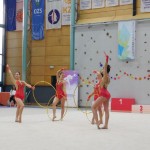 Murska Sobota: borovkam državni naslov