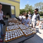 telovadnica Silvana Klabjana