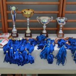 29. Pokal Zgonik