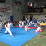 29. Pokal Zgonik