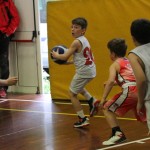 Trofeja ZSŠDI v minibasketu