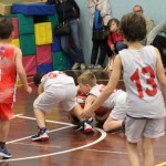 Trofeja ZSŠDI v minibasketu