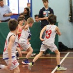 Trofeja ZSŠDI v minibasketu