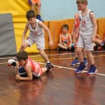 Trofeja ZSŠDI v minibasketu