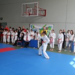 29. Pokal Zgonik