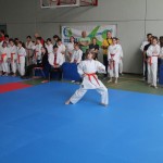 29. Pokal Zgonik