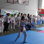 29. Pokal Zgonik