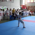 29. Pokal Zgonik