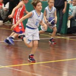 Trofeja ZSŠDI v minibasketu