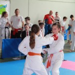 29. Pokal Zgonik