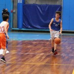 Trofeja ZSŠDI v minibasketu