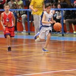 Trofeja ZSŠDI v minibasketu