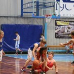 Trofeja ZSŠDI v minibasketu