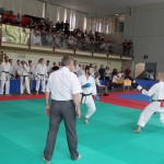 29. Pokal Zgonik