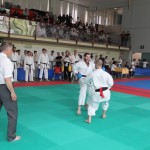 29. Pokal Zgonik
