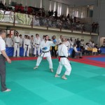 29. Pokal Zgonik