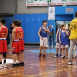 Trofeja ZSŠDI v minibasketu