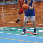 Trofeja ZSŠDI v minibasketu