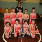 Trofeja ZSŠDI v minibasketu