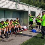 Pokal narodnih skupnosti