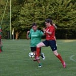 Dvotedenski turnir KD Skala