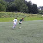 Pokal narodnih skupnosti