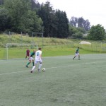 Pokal narodnih skupnosti