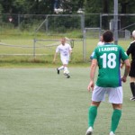 Pokal narodnih skupnosti