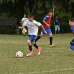 XXXIII. Gabrski turnir