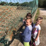 Košarkarski kamp Športne šole Polet/Kontovel - 3. teden